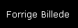 [< Previous]